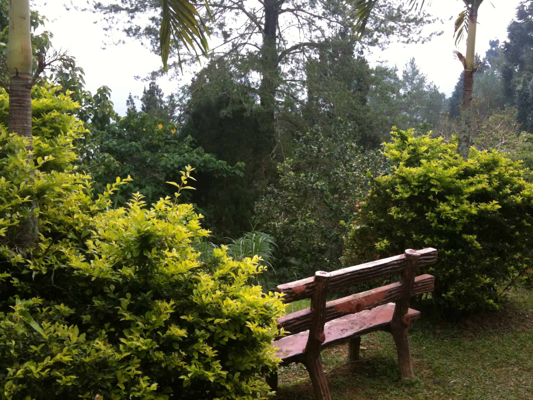 Could you find a better place to write? maxwell hill, bukit larut