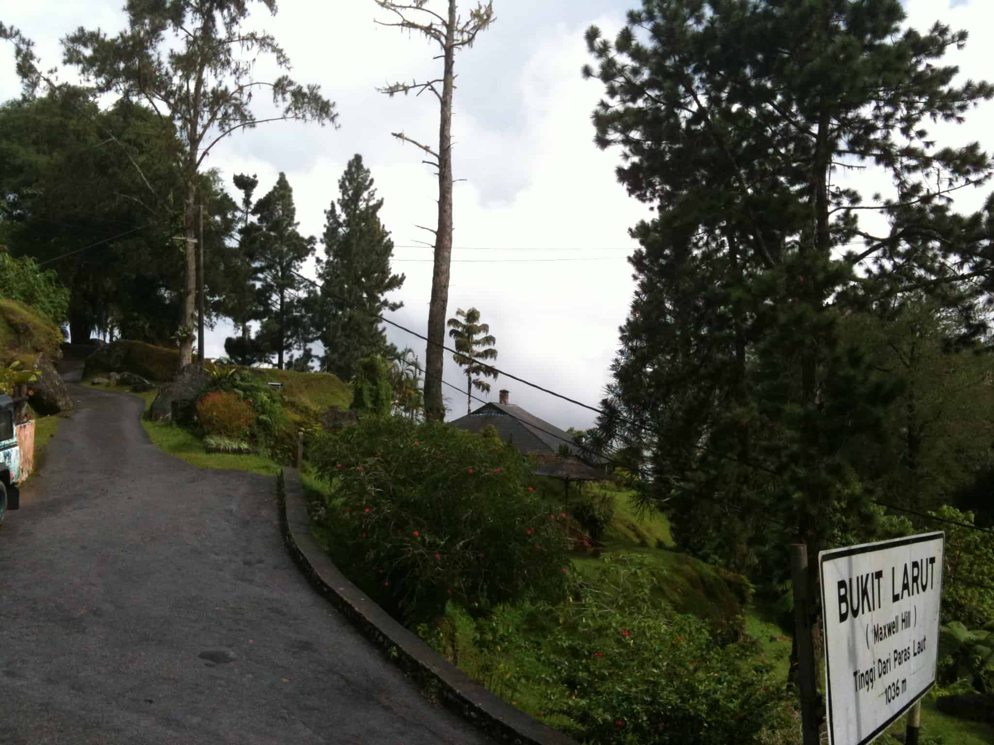 The winding road leading up to Maxwell Hill Maxwell hill