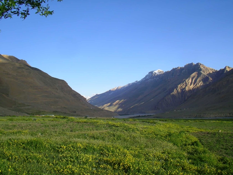 Life in Spiti: A Chance Encounter With Kaza’s Garden Lady.