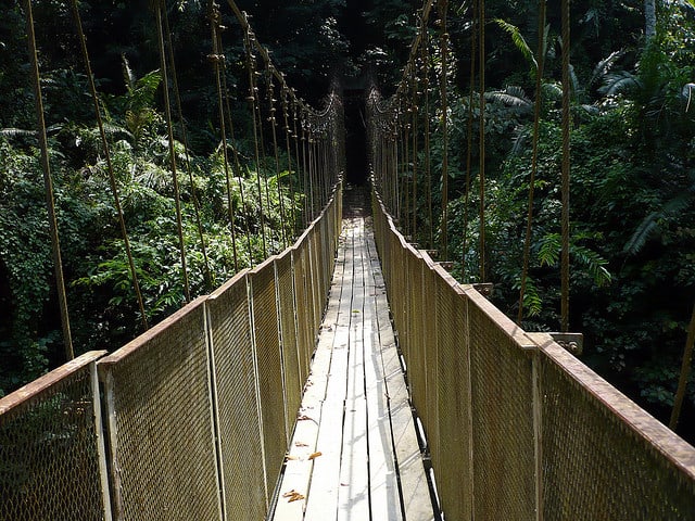 Canopy walk Taman Negara Taman Negara, Canopy Walk, Rainforest, Malaysia, Travel