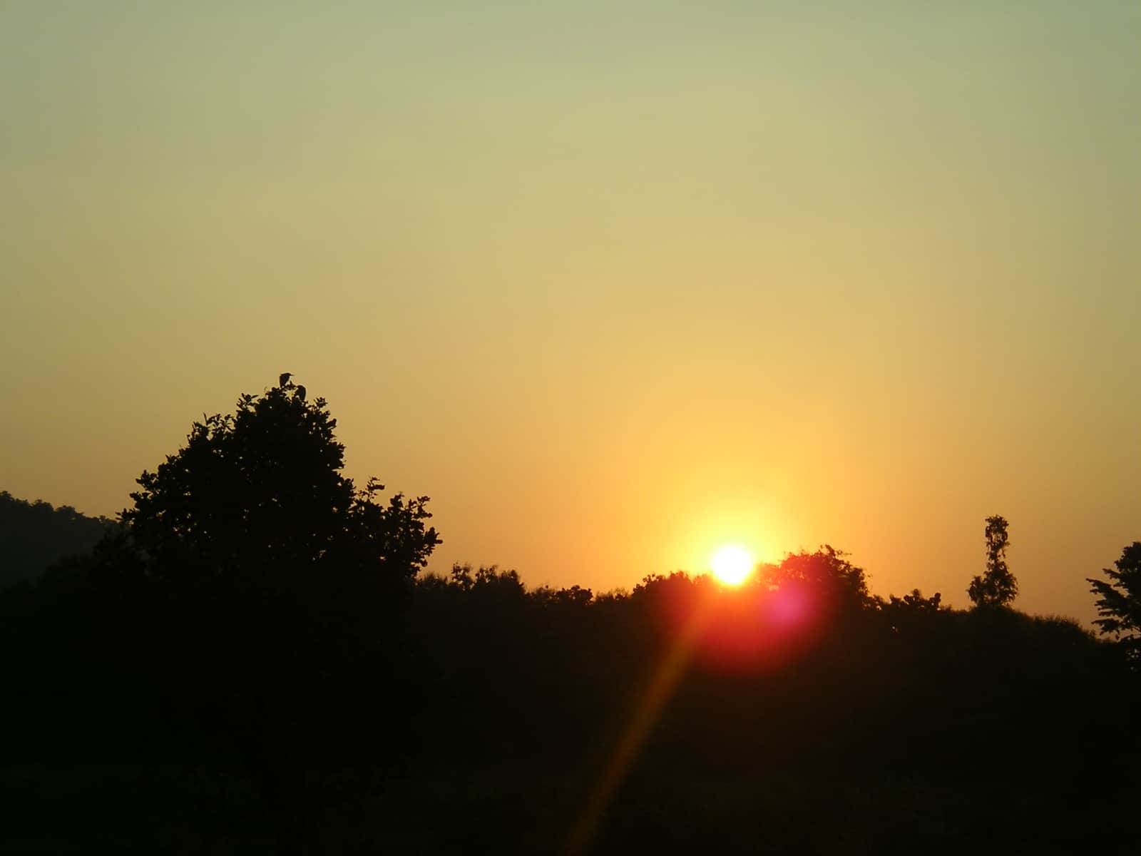 Sunrise, Jim Corbett, jungle safari