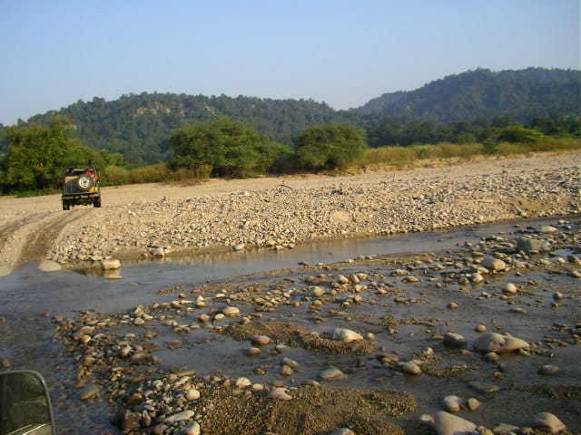 The Secret Lives of Jim Corbett Animals.
