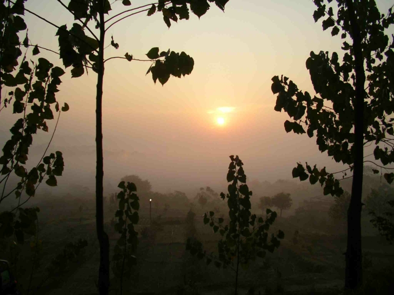 2011 in Travel: The Year That Was.