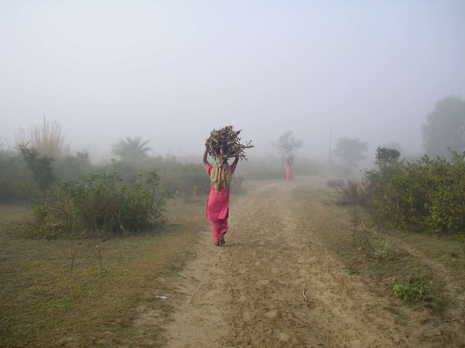 Punjab, India, countryside