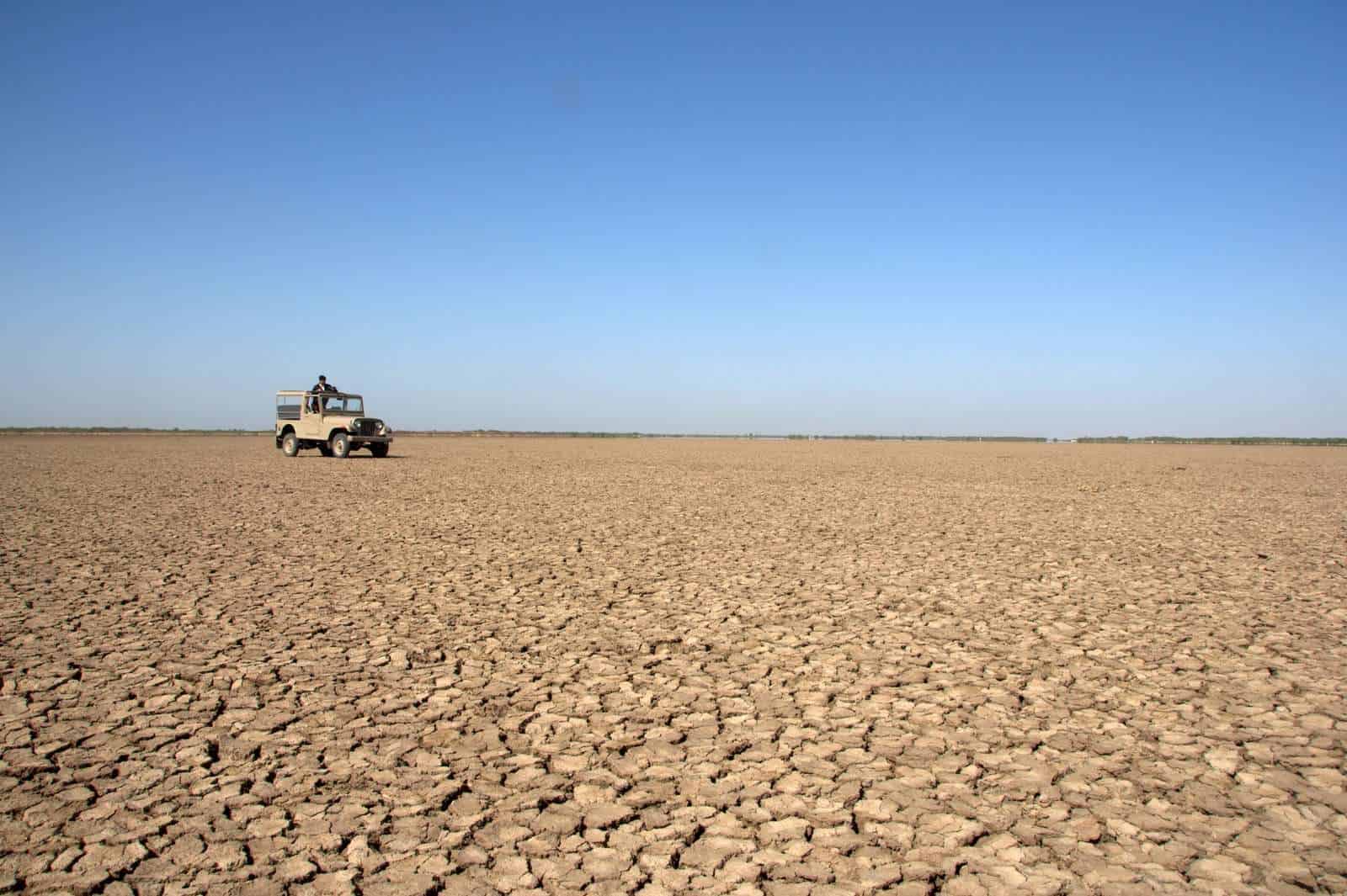 little rann, devji bhai kooba, romantic getaway, delhi weekends