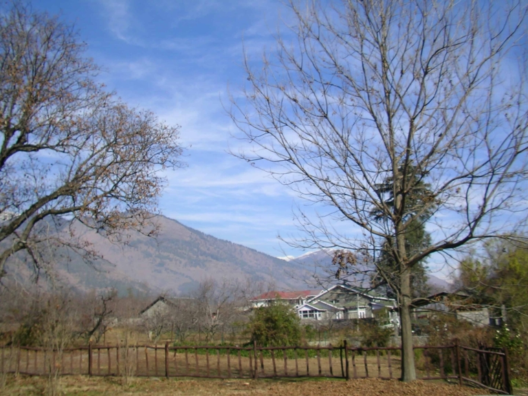 Raison: Kullu Manali’s Well-Kept Secret.