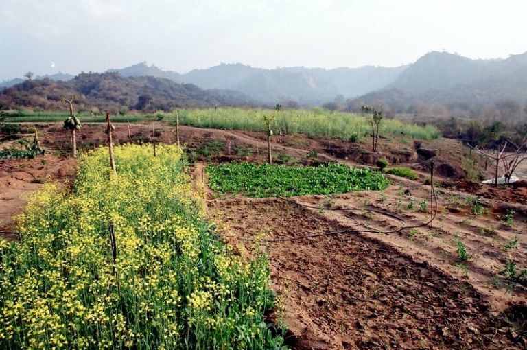 “Life on the Farm” at Prakriti Farms.
