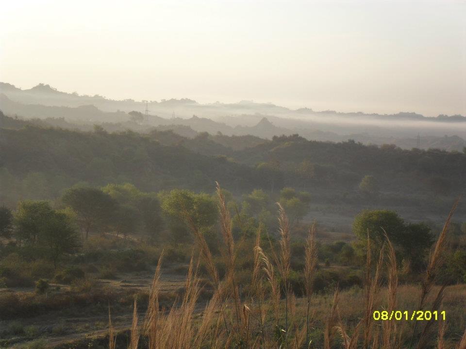 Shivaliks Punjab Shivaliks, Punjab, Prakriti Farms, organic farm, Chandigarh, Ropar, offbeat travel, weekend getaway, rural tourism india