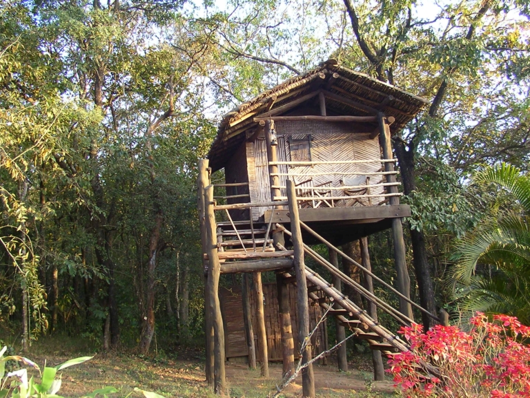Up in a Tree House at The Hermitage.