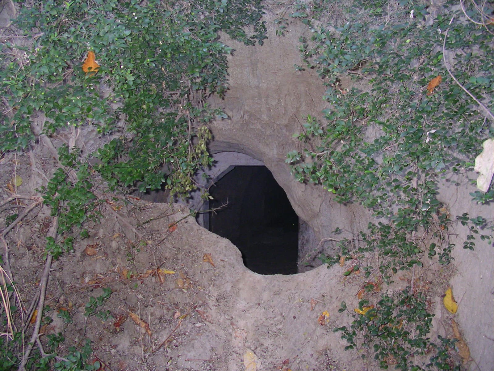 forest cave Punjab Forest caves, Shivaliks, Punjab, Prakriti Farms, organic farm, Chandigarh, Ropar, offbeat travel, weekend getaway, rural tourism india