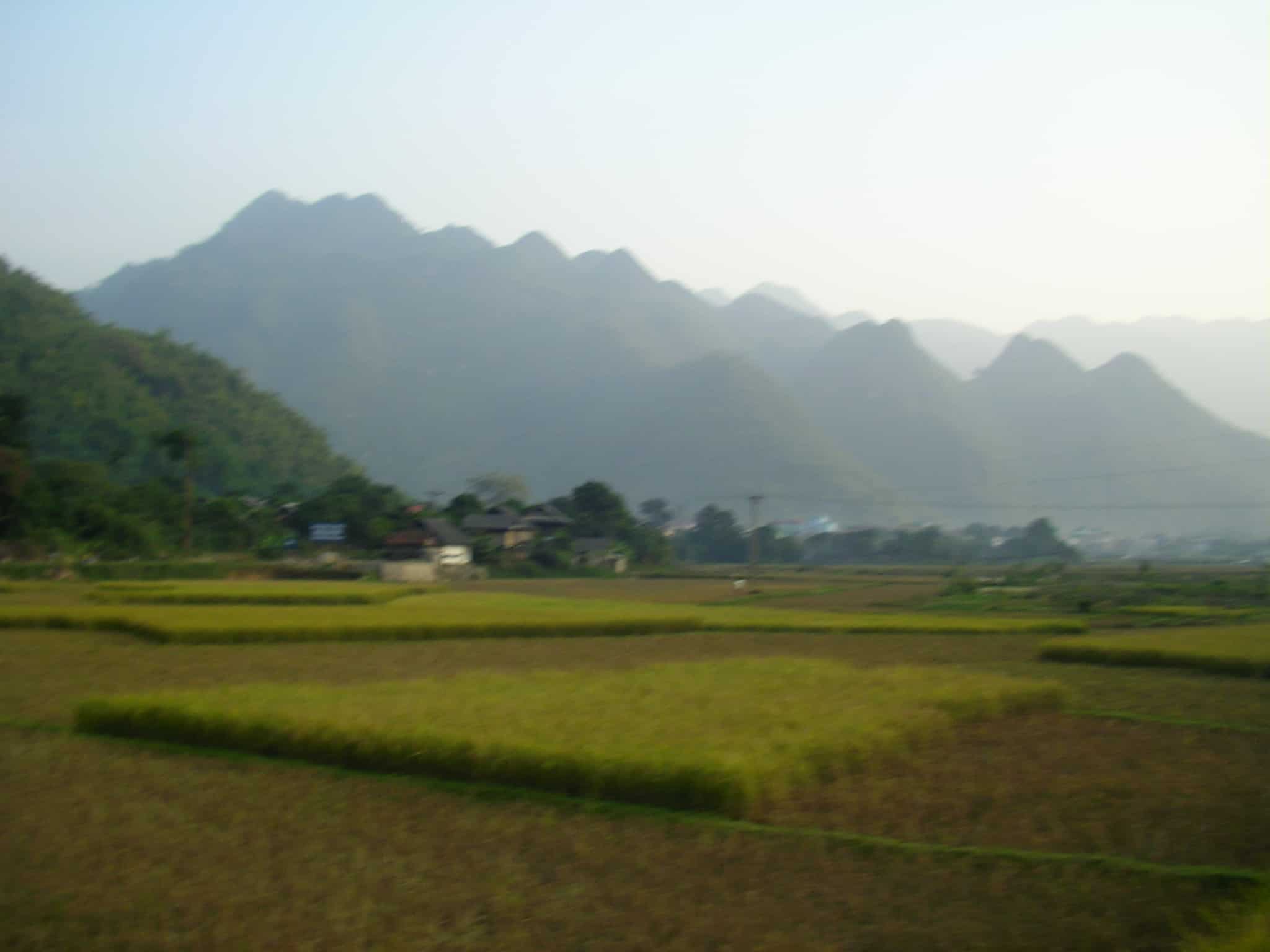 Rice paddy Vietnam Northwest Vietnam, offbeat Vietnam, rice paddy vietnam, Ben Lac village, Off the beaten track, Vietnam travel blog, Mai Chau, small towns near Hanoi