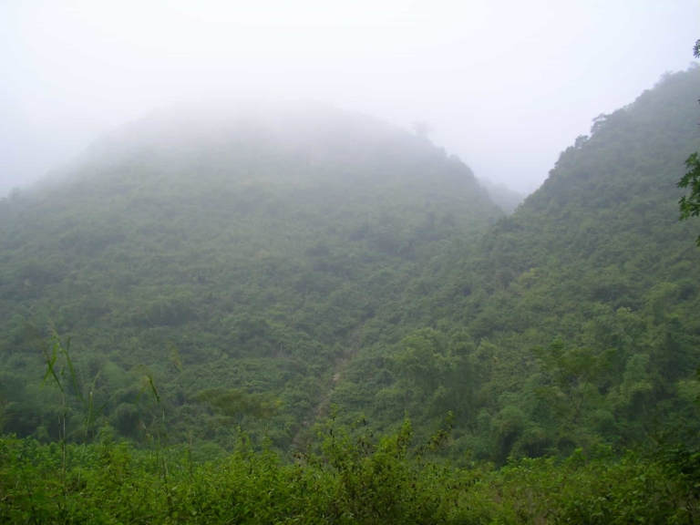 Finding home in Vietnam.