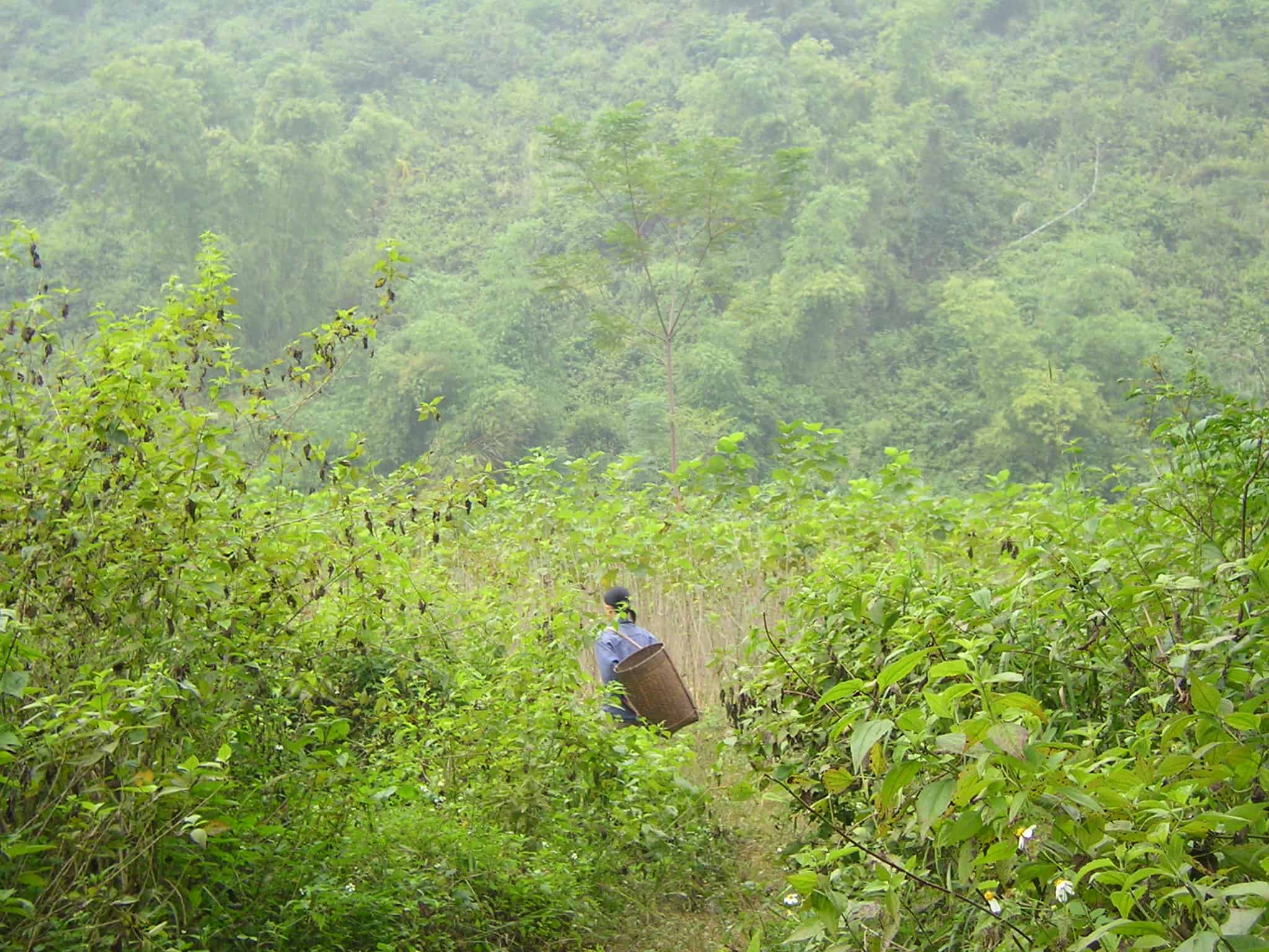Vietnam women Northwest Vietnam, offbeat Vietnam, mountain women, Ben Lac village, Off the beaten track, Vietnam travel blog, Mai Chau, small towns near Hanoi
