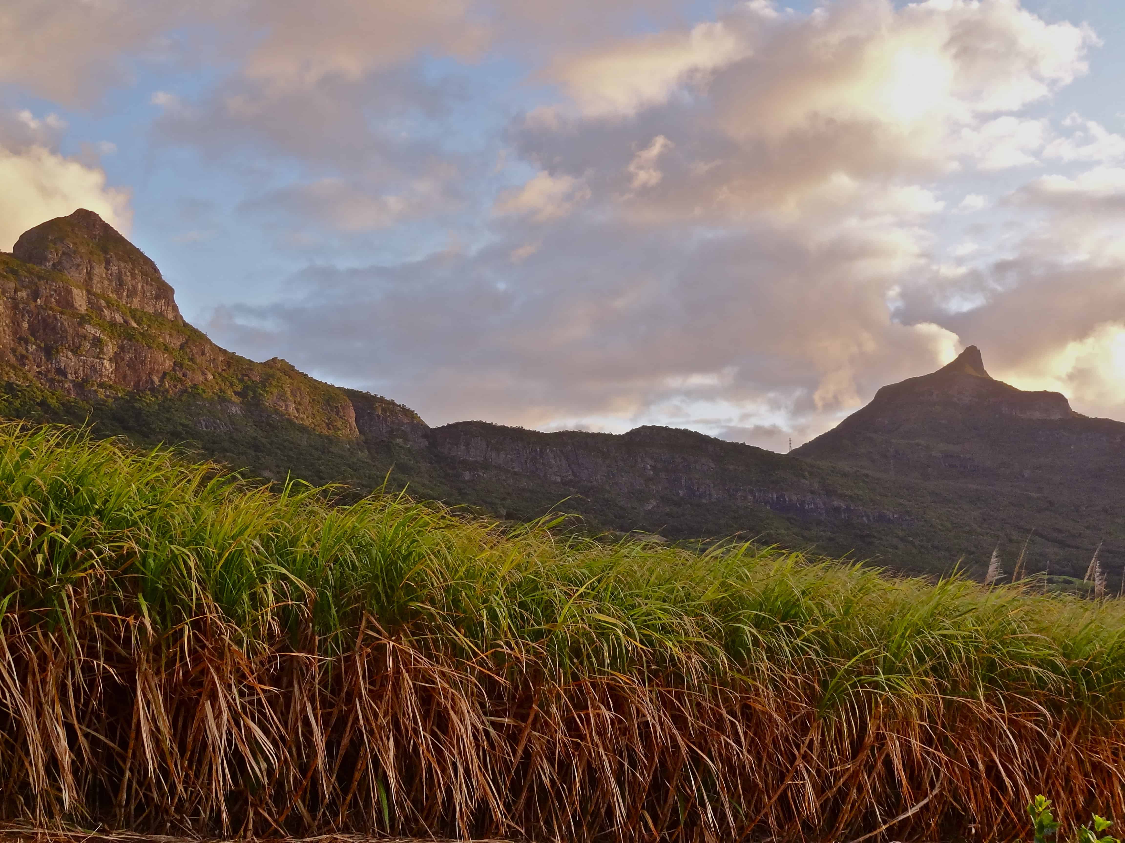 Mauritius island Mauritius mountains, Mauritius photos, eco tourism Mauritius, Mon Choix, Mauritius sugarcane