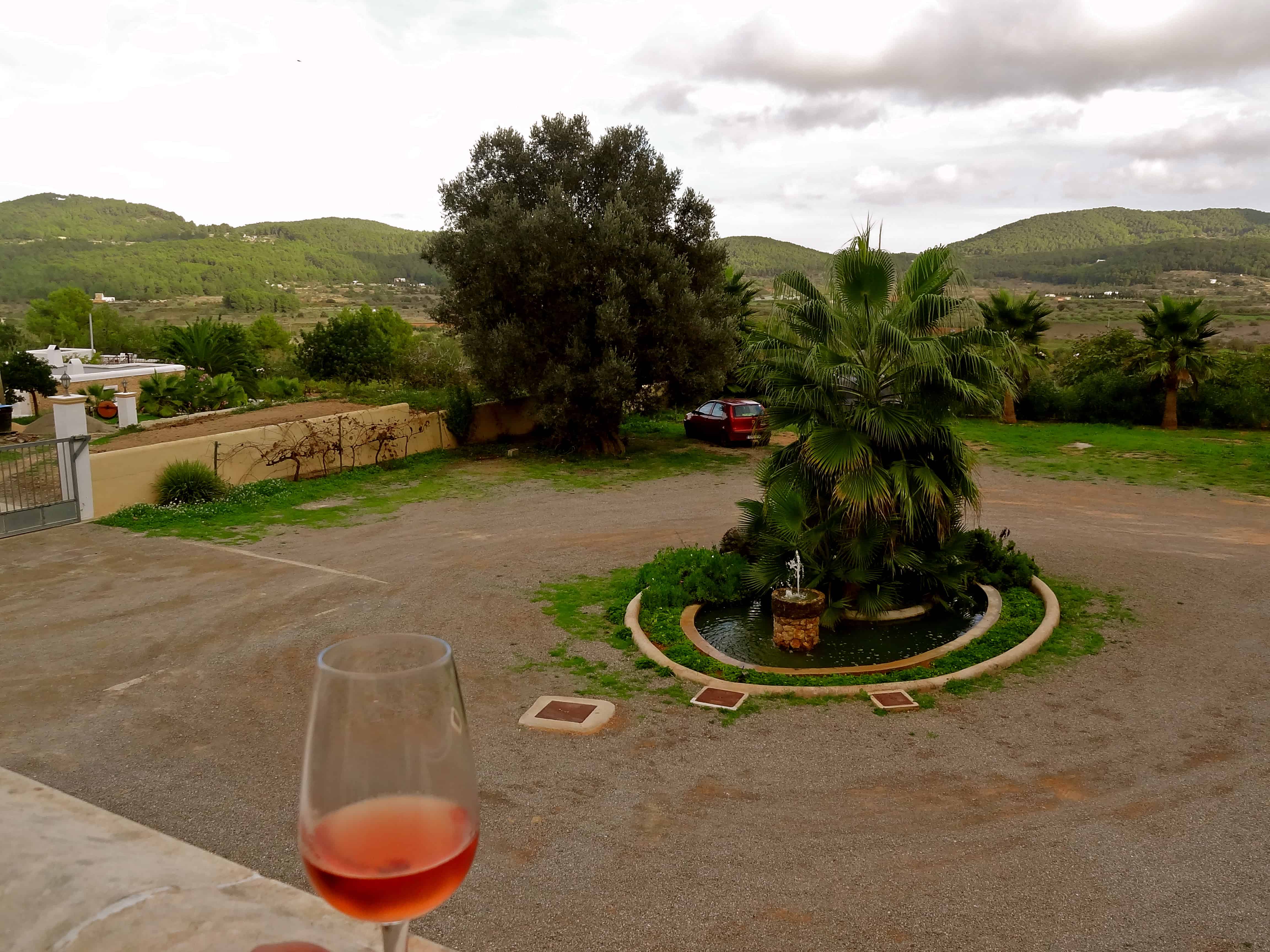 Ibiza wine, Ibiza vineyards, Ibiza things to do