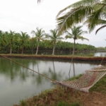 offbeat Kerala, best kept secrets Kerala, Kerala undiscovered