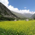 Chitkul, Himalayas India, Himalayas photos