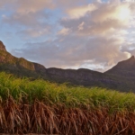 Mauritius what to do, Mauritius ecotourism