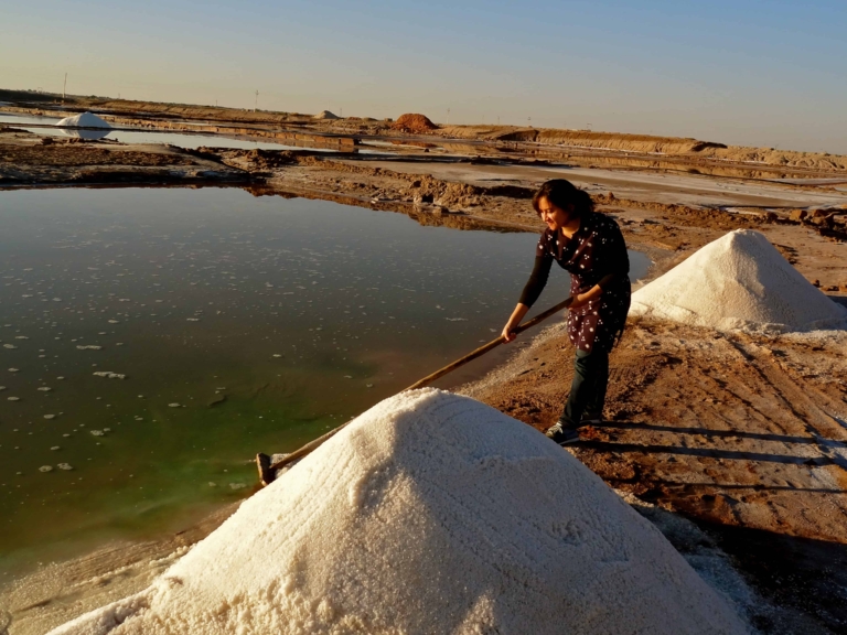 Rajasthan salt lake, Rajasthan offbeat, Rajasthan village