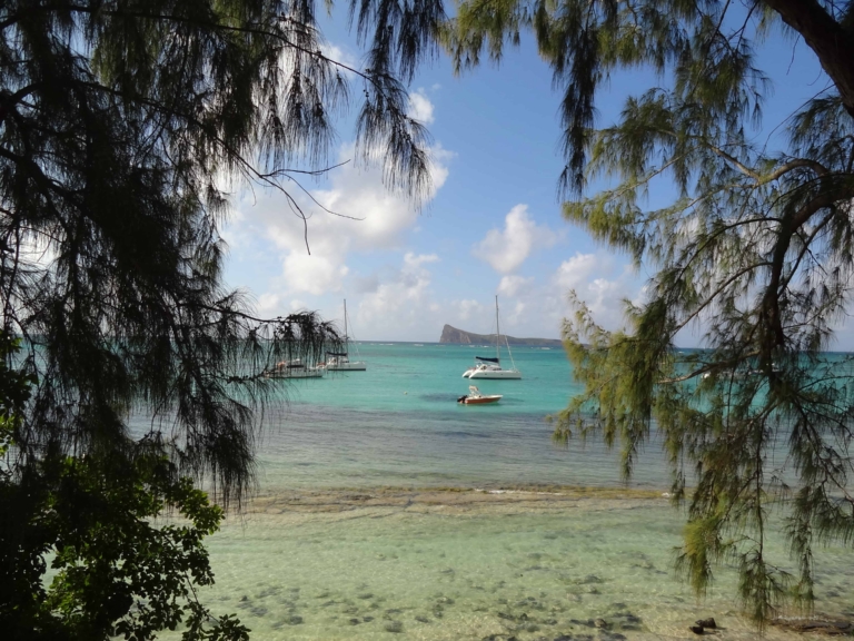 A Vegetarian in Paradise: Mauritius & Rodrigues.