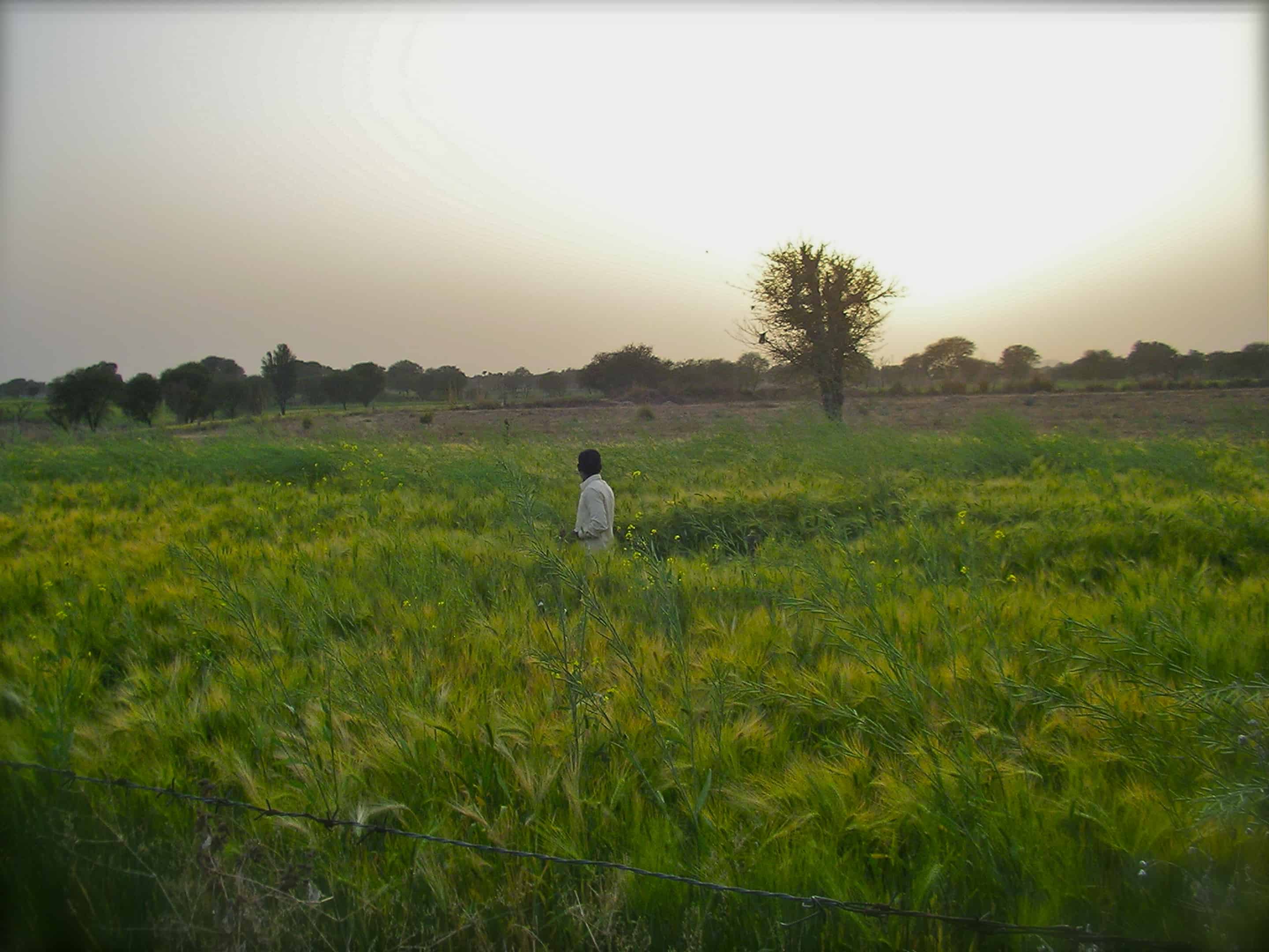 Rural Rajasthan, India farm stay, Rajasthani culture