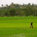 Chang Rai Thailand, Chiang Rai photos,