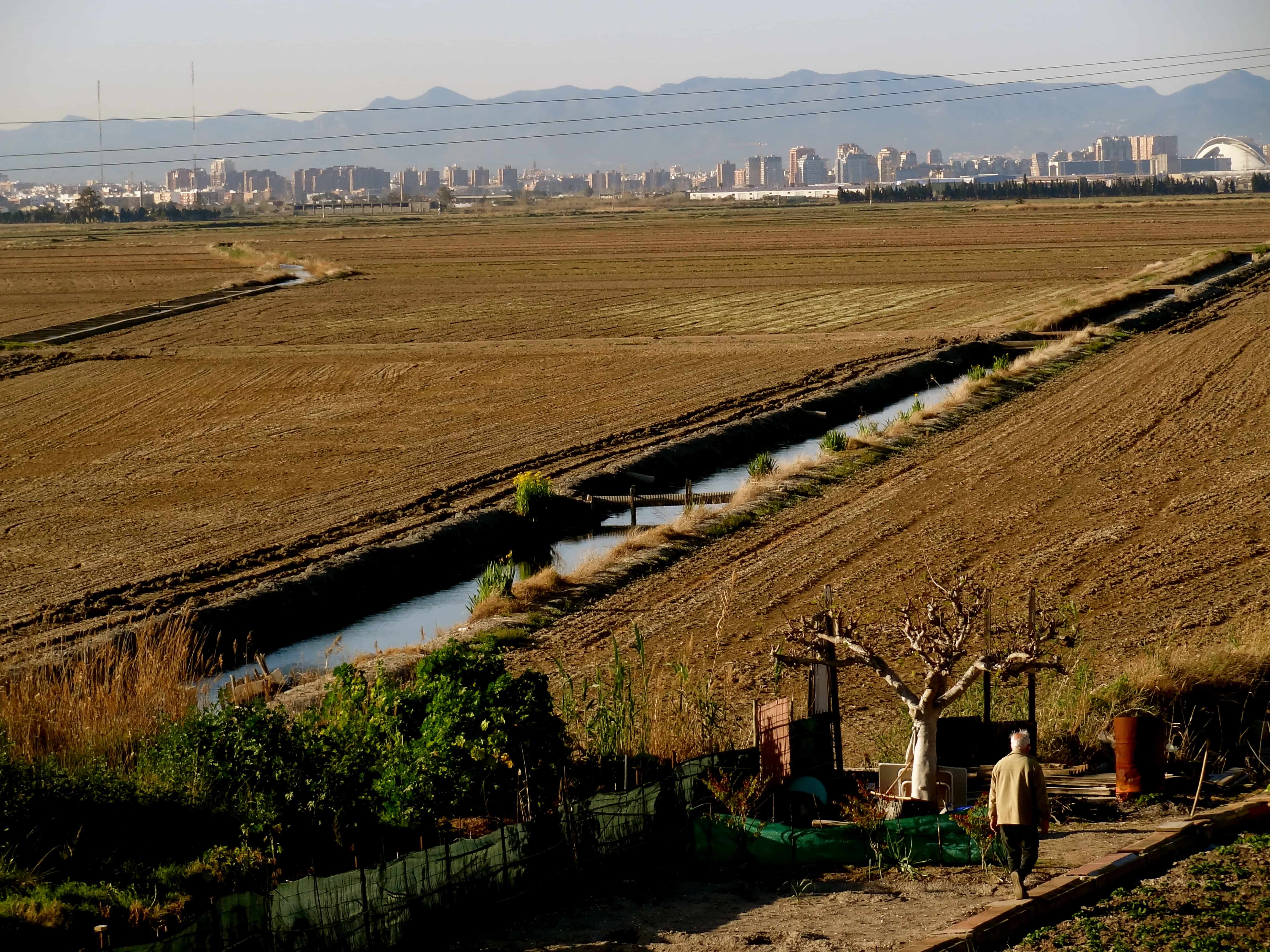 Valencia secrets, Albufera Valencia, Valencia things to do 