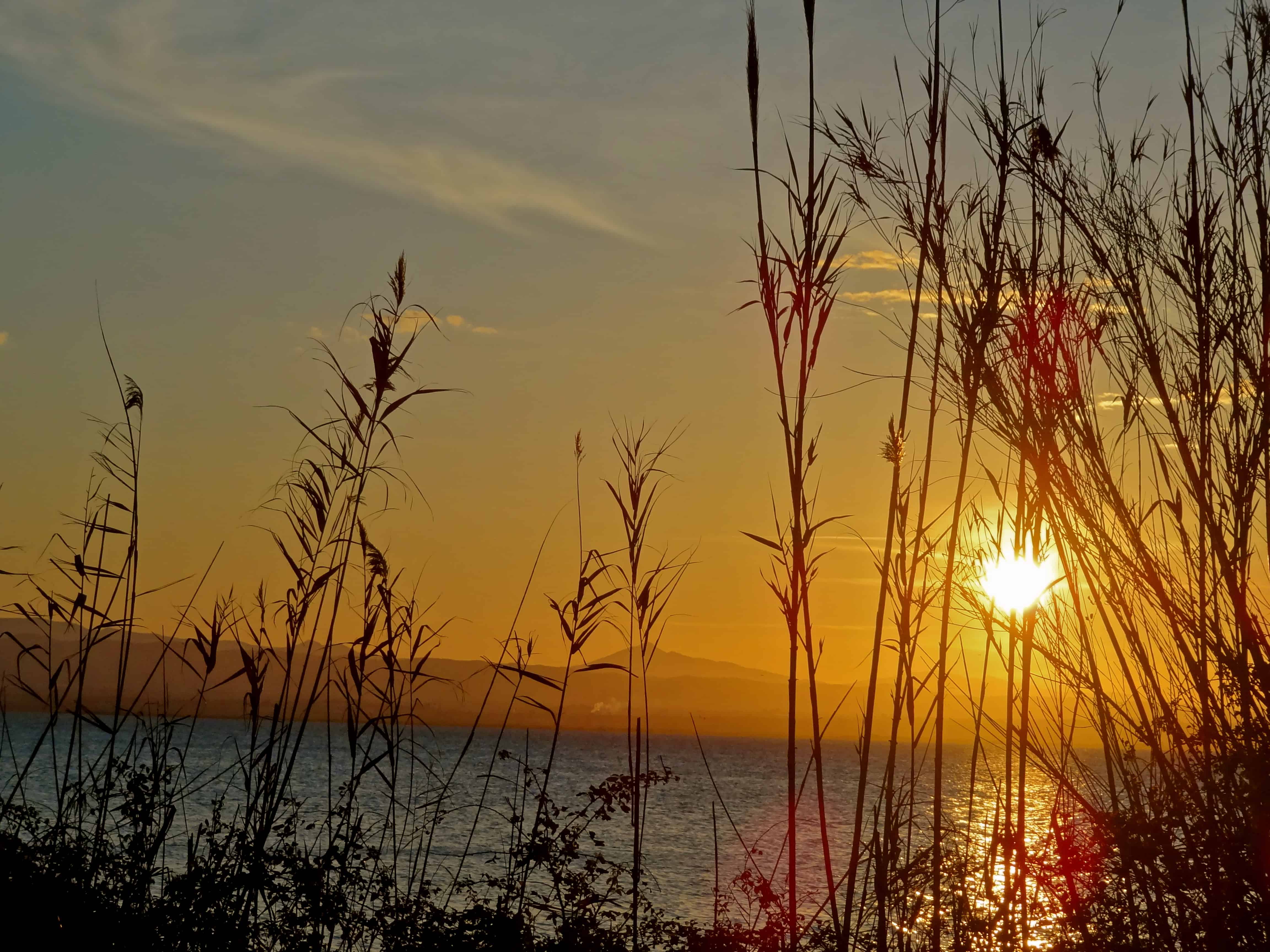 Valencia lake, Albufera Valencia