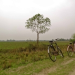 Majuli Island, Majuli photos, Assam Majuli