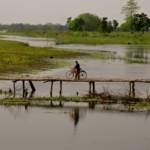 Majuli, Assam Majuli, Majuli island photos