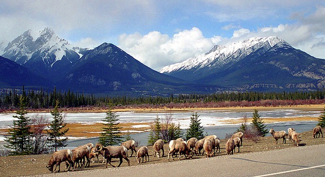 Jasper photos, Jasper tourism