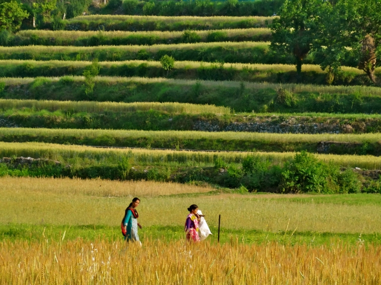 Bhimtal pictures, Bhimtal, India village life