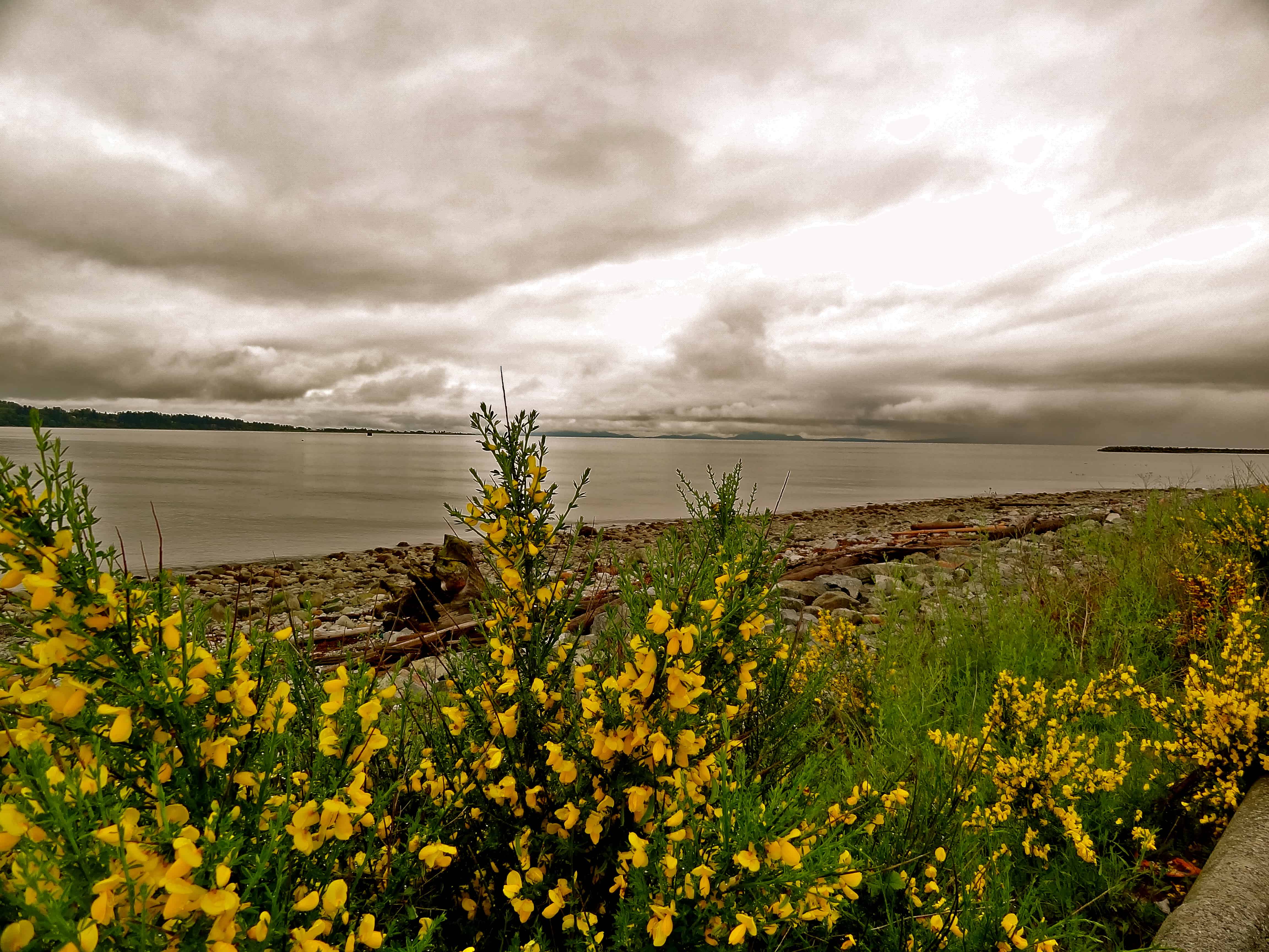 Tsawwassen Vancouver, Vancouver beaches