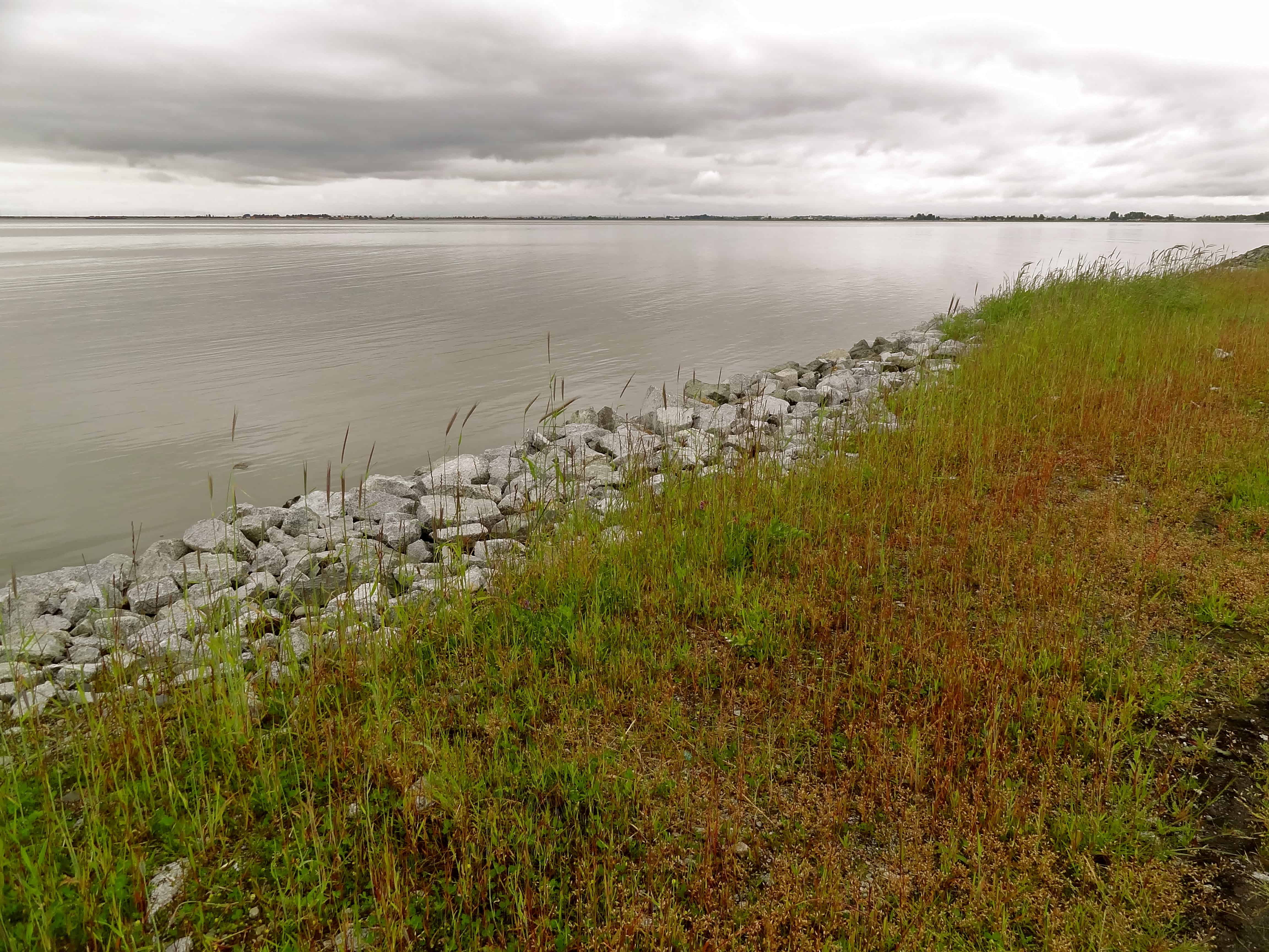 Vancouver secret, Tsawwassen ferry terminal
