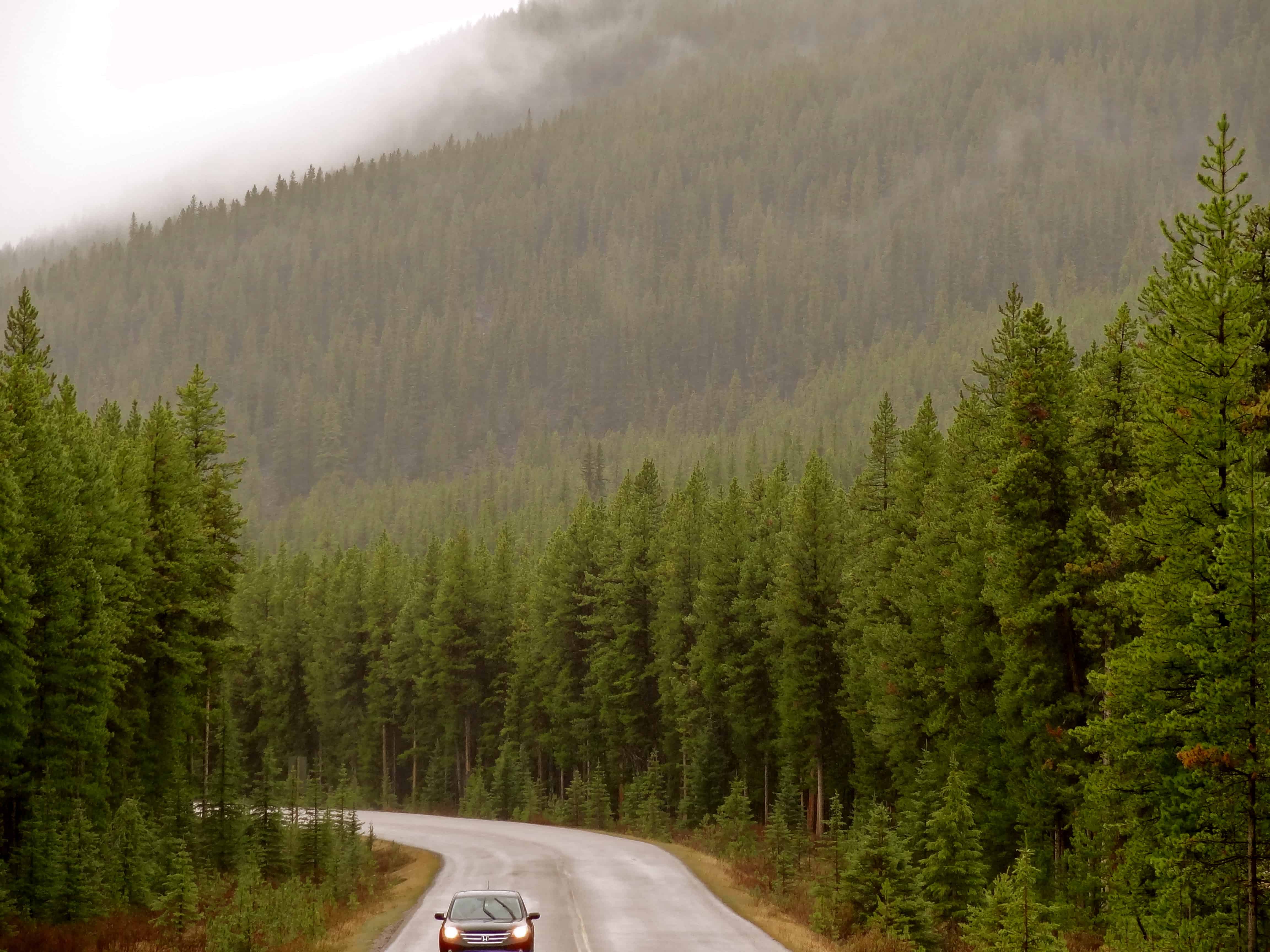Jasper photo, Maligne lake cruise, Jasper island