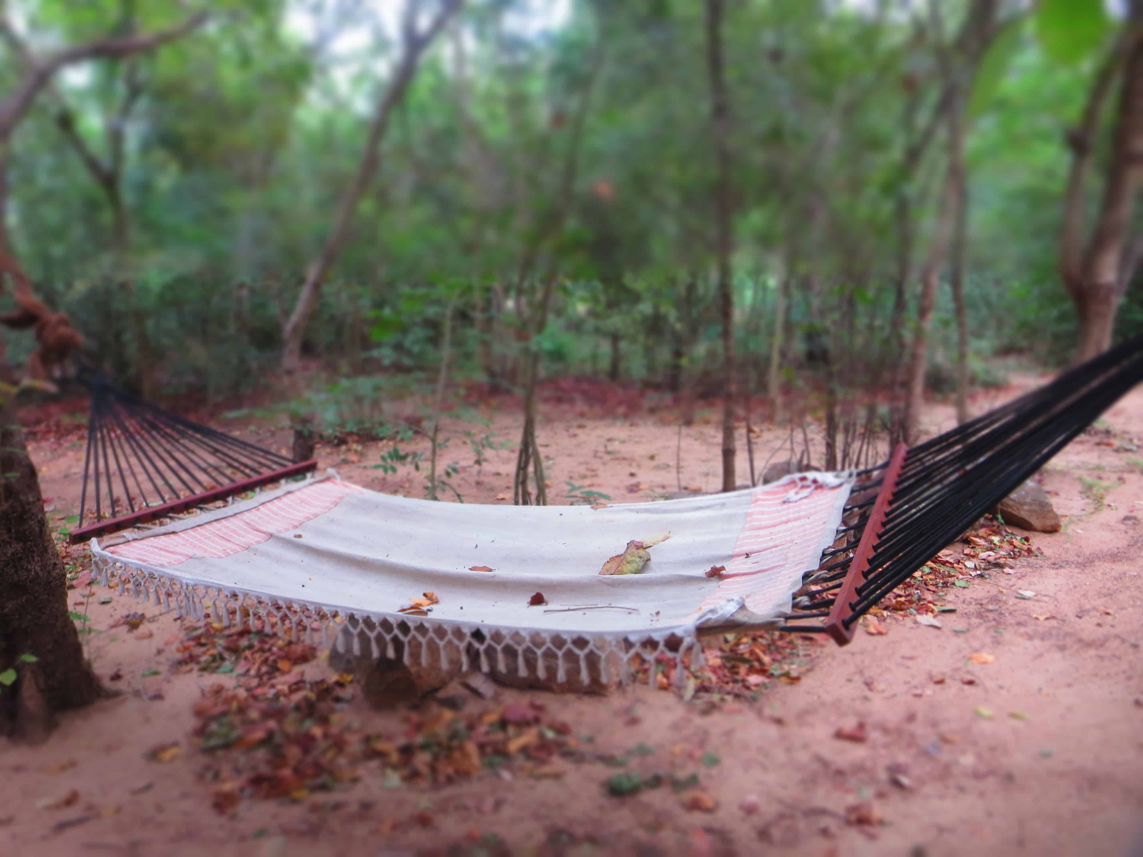 Sri Lanka homestays Sri Lanka homestays, Sri Lanka ecotourism, Galkadawala forest lodge, Sri Lanka offbeat