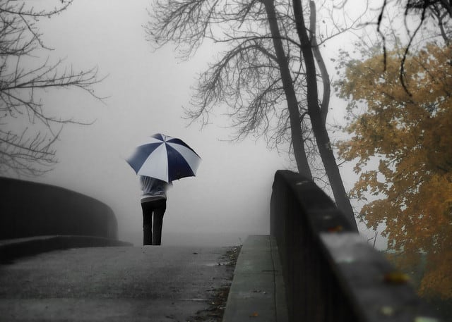 monsoon