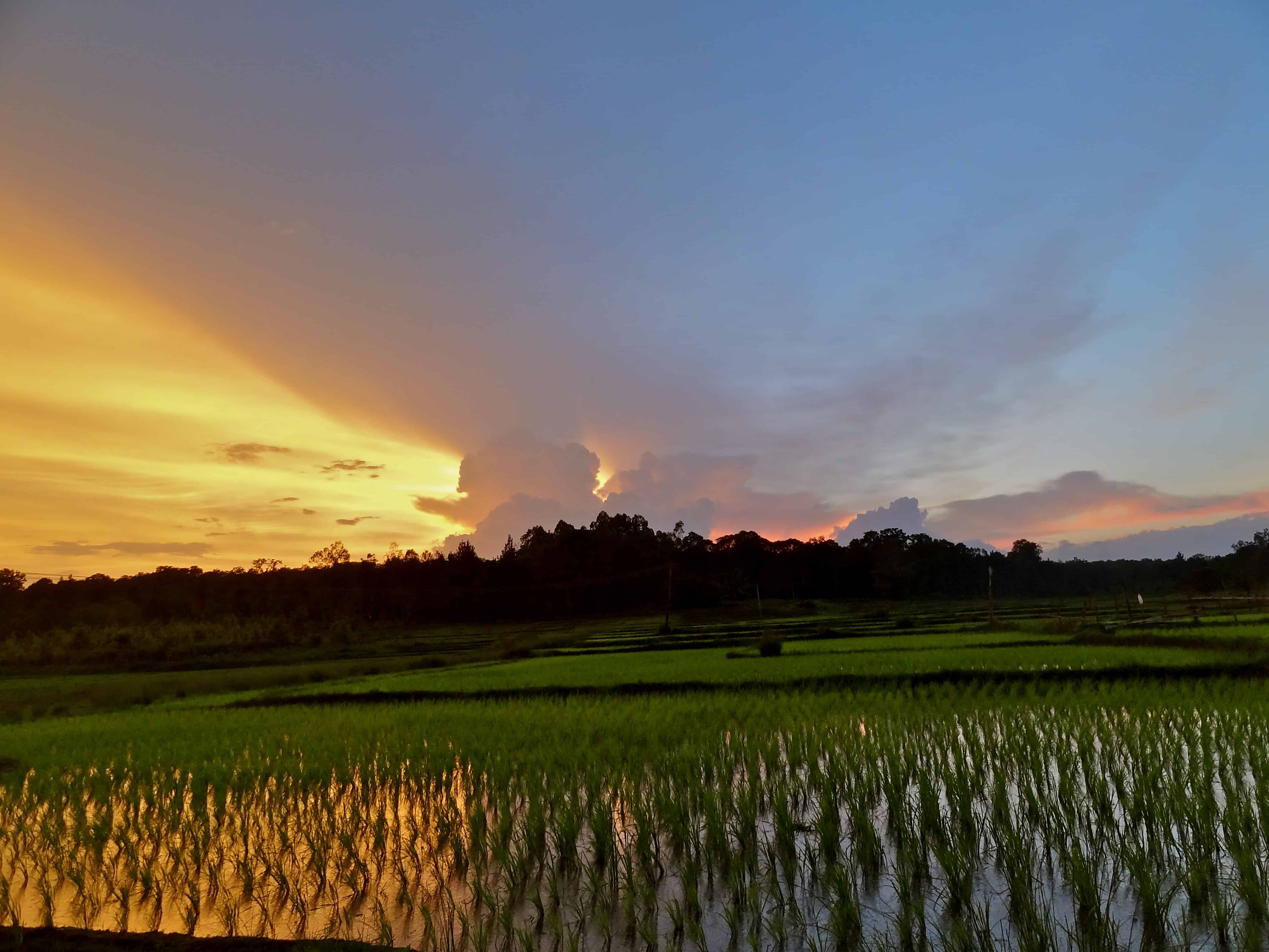 Coorg sunset, Karnataka sunset, Coorg villages, Coorg farm stay