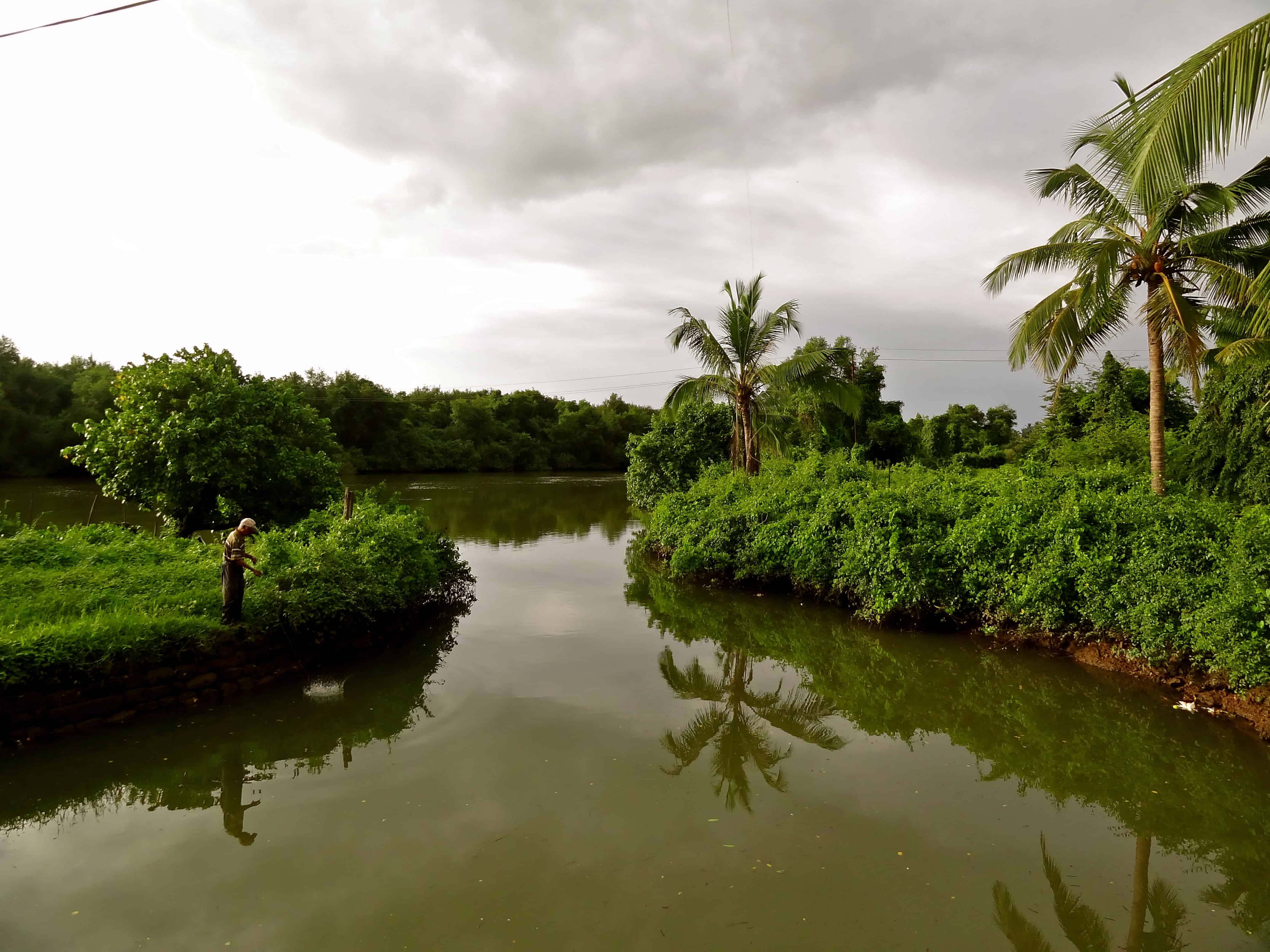 aldona backwaters, aldona