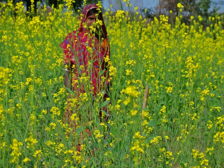 Rajasthan villages