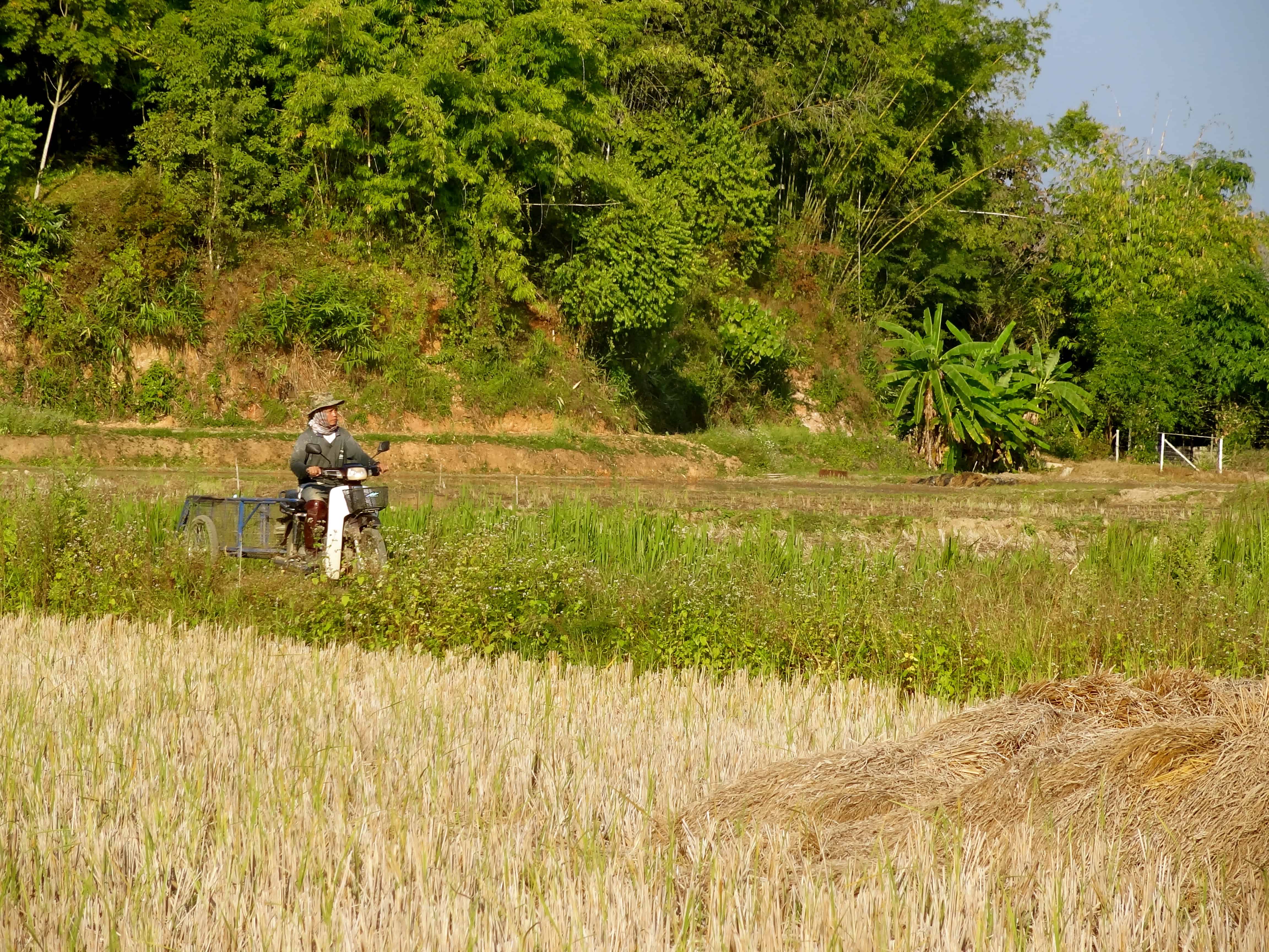 Thailand countryside, Thailand villages, Thailand photos