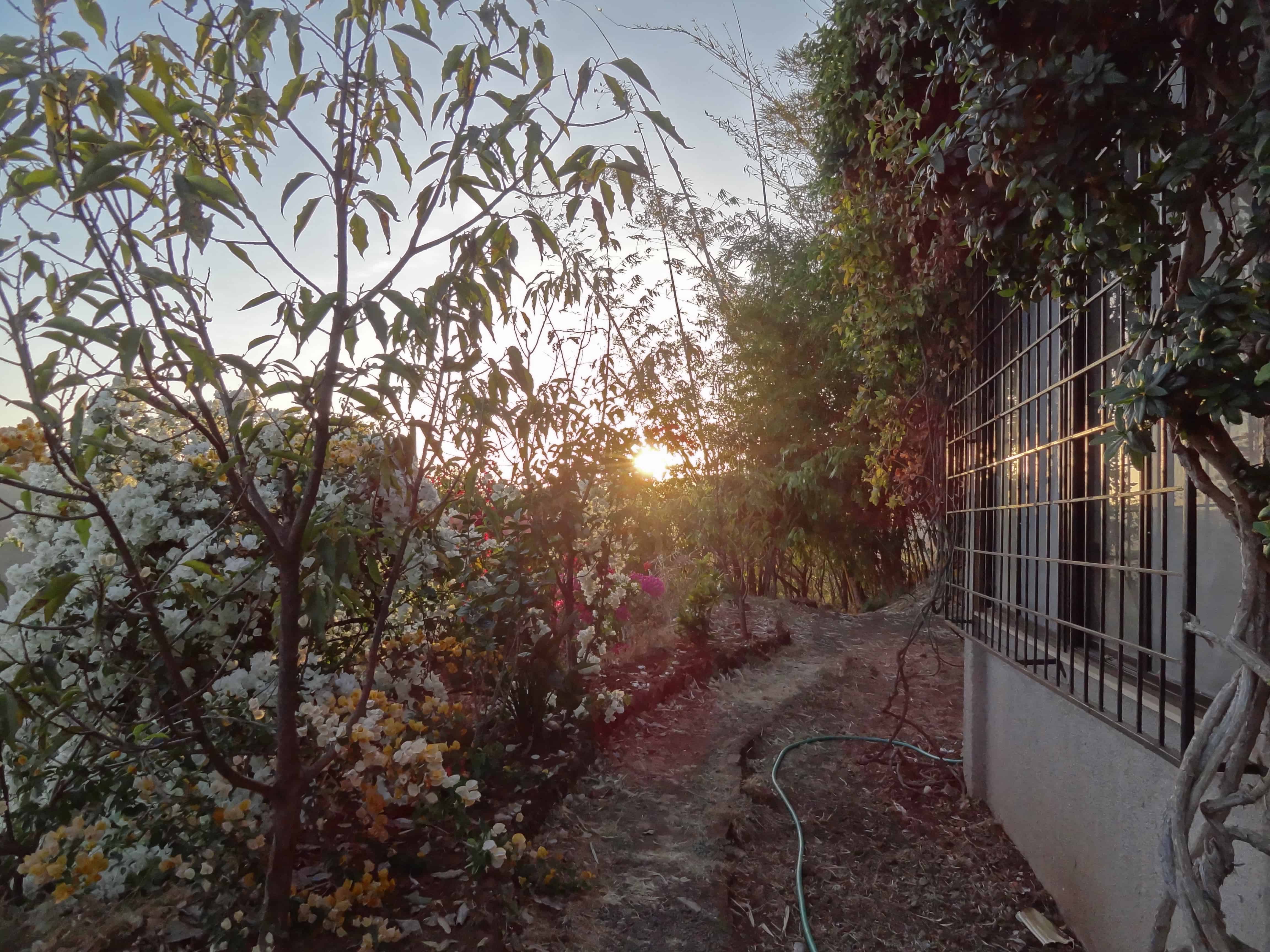 Panchgani, Devrai Art village, weekend getaways from Mumbai, Devrai homestay