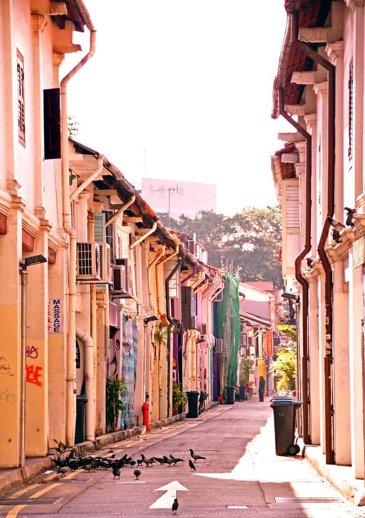 Arab Street. Photo by Nasrul Ekram.