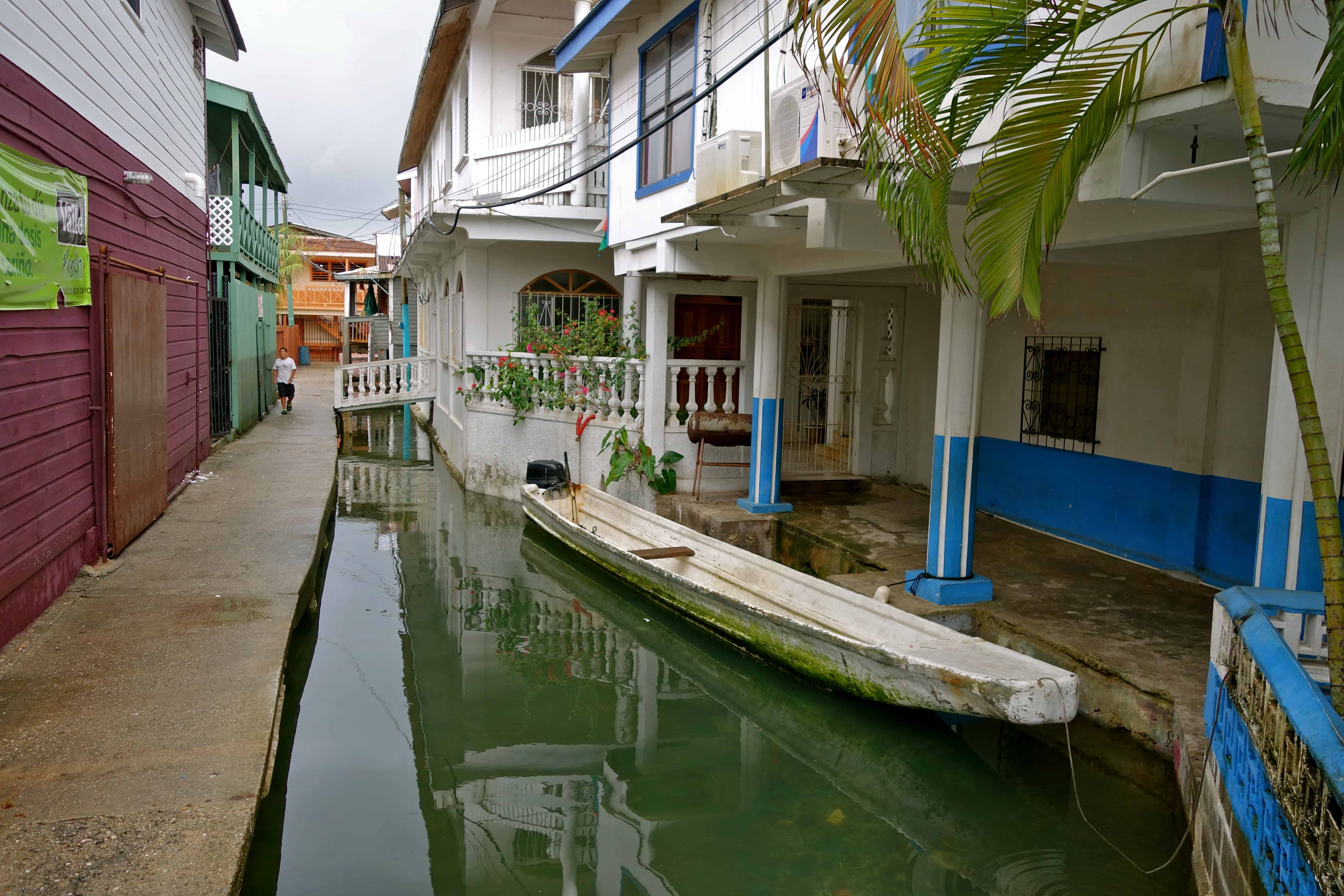 Bonacca guanaja, Honduras photos
