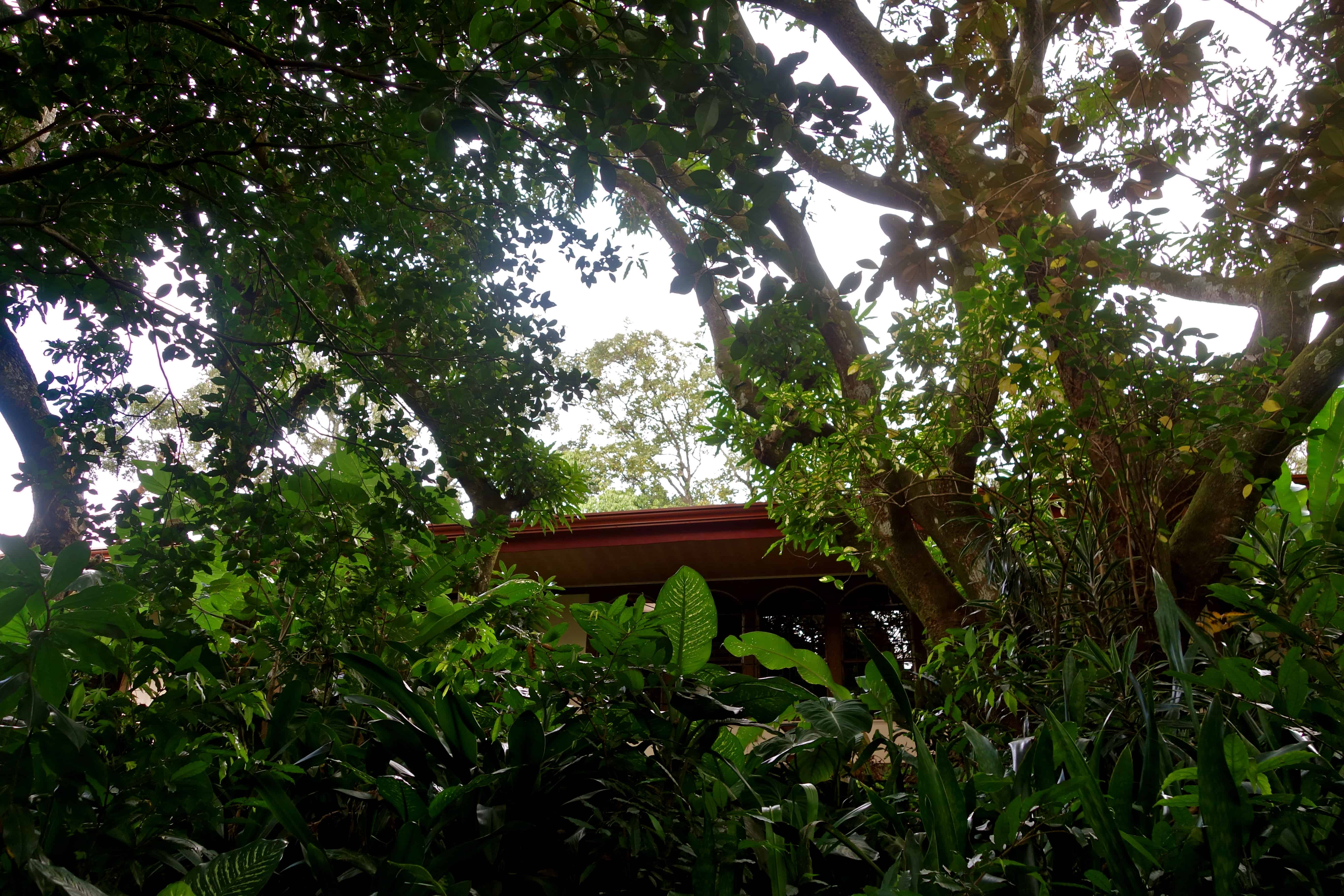 San Jose airport accommodations, Blue Morpho alajuela, alajuela airbnb