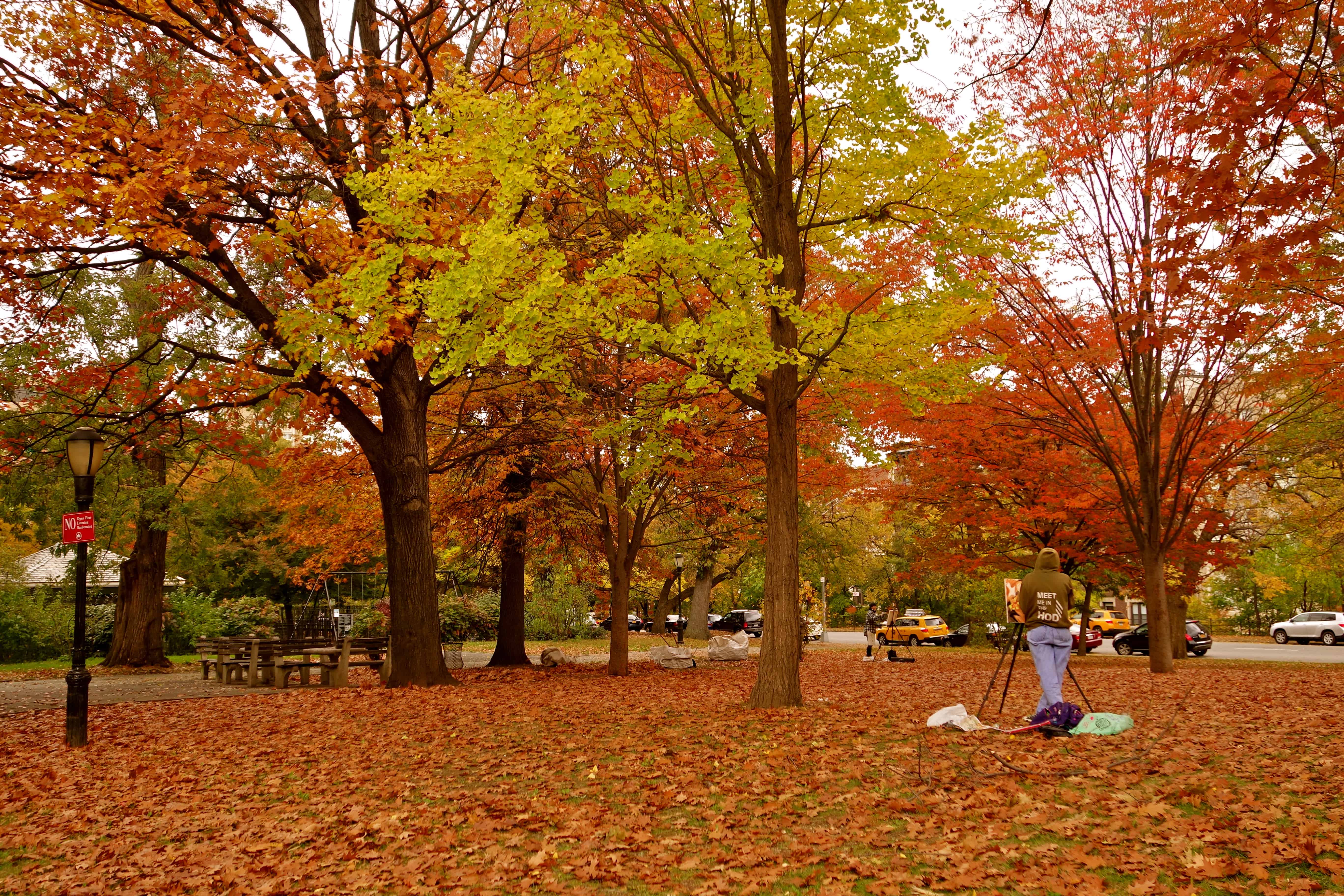 new york fall, new york fall colors, NYC fall, NYC photos