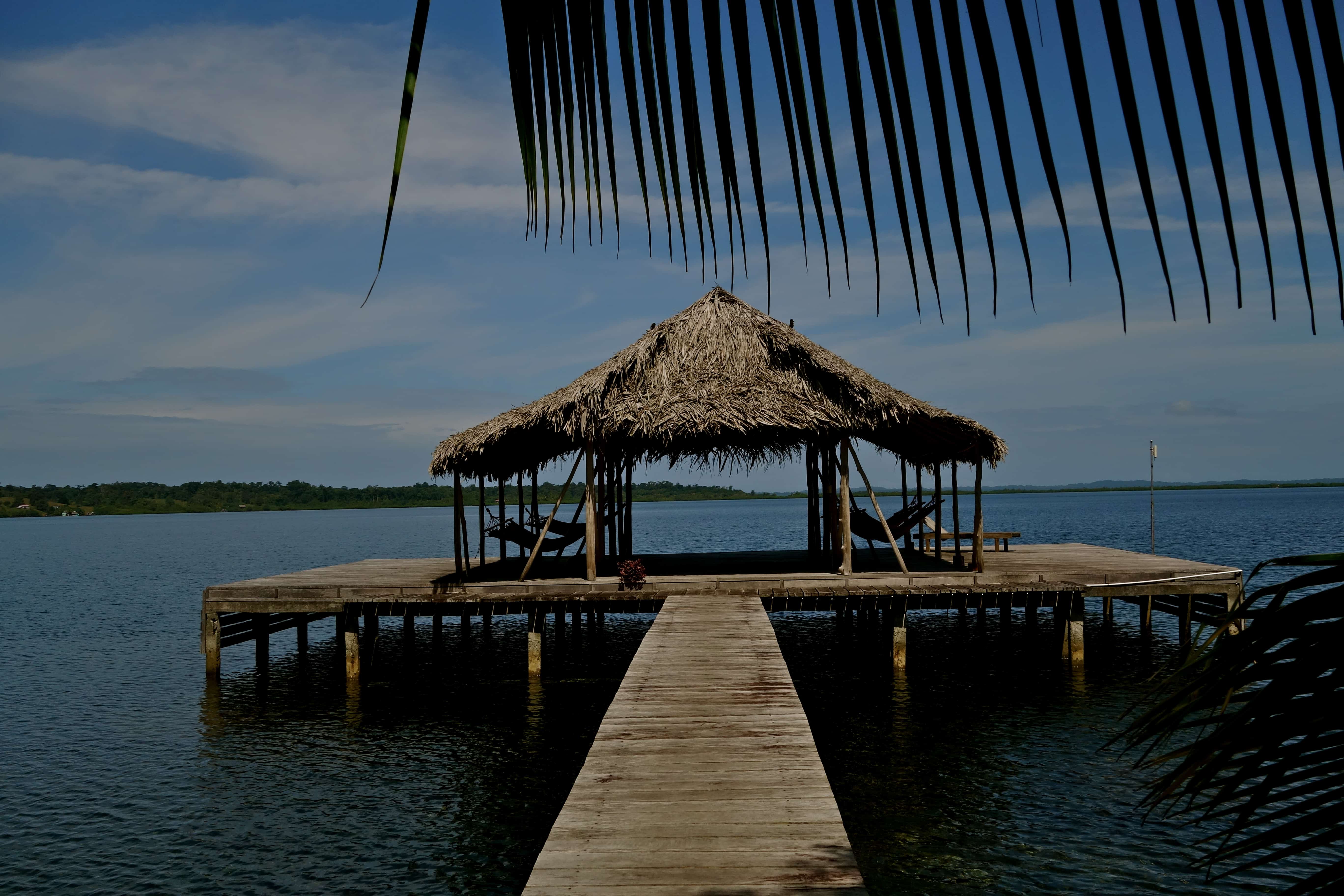 Dolphin bay cabanas panama, panama airbnb, bocas del toro airbnb