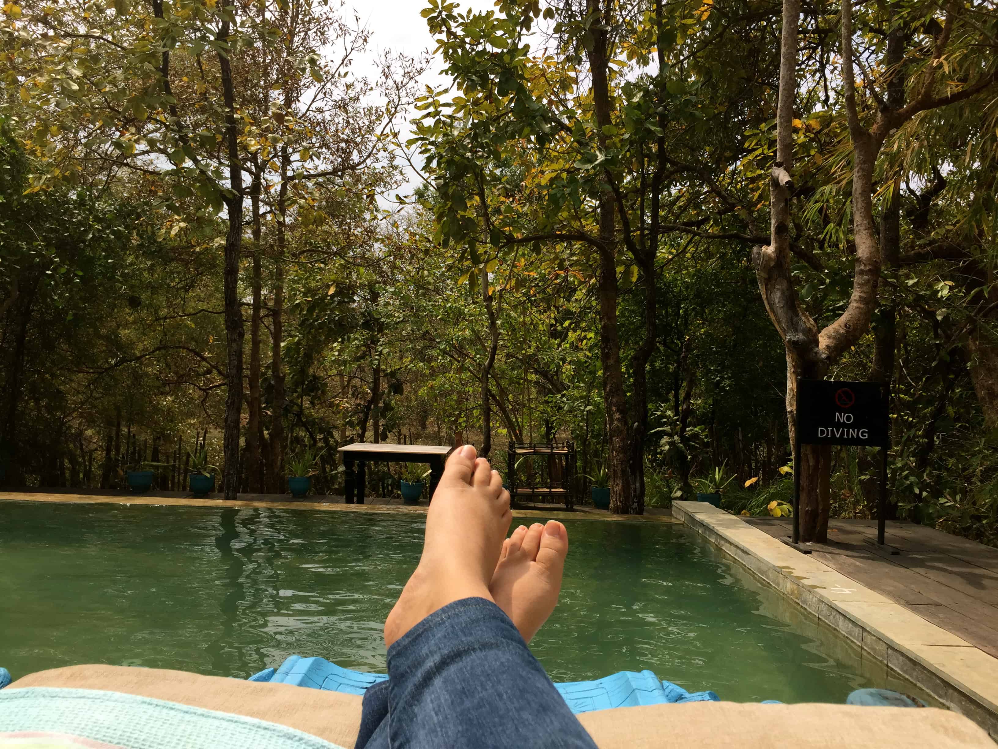Baghvan, Taj pench