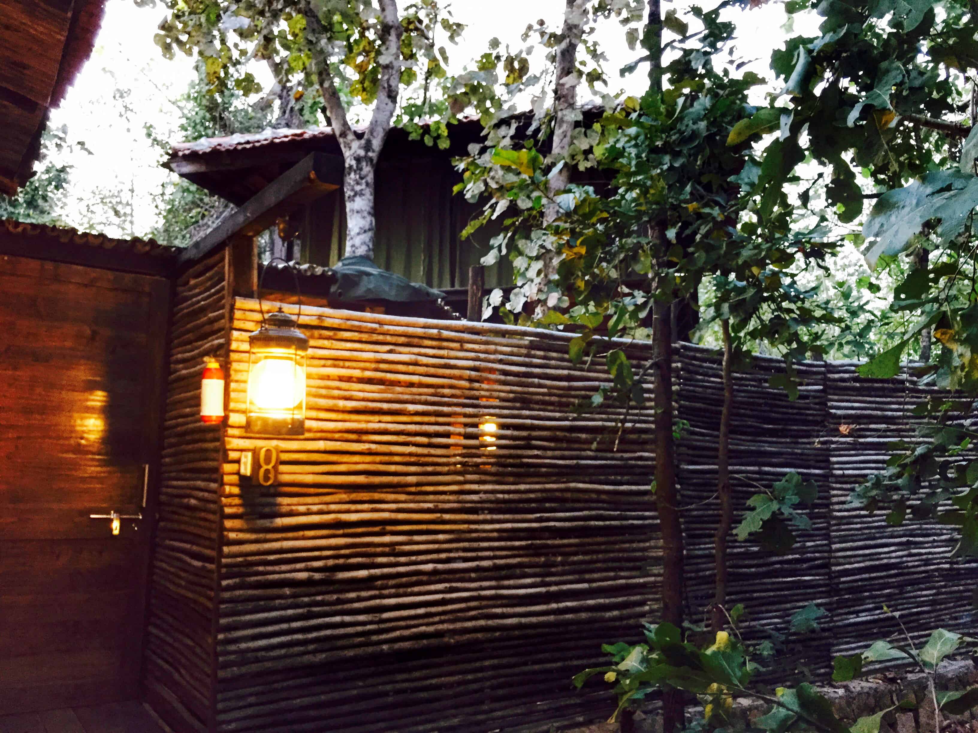 taj safaris, baghvan pench, taj pench, baghvan
