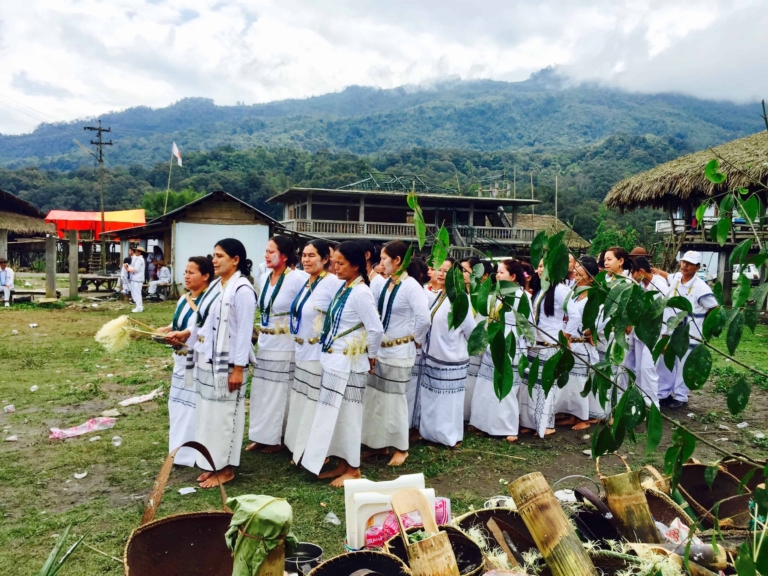 mopin festival, galo tribe